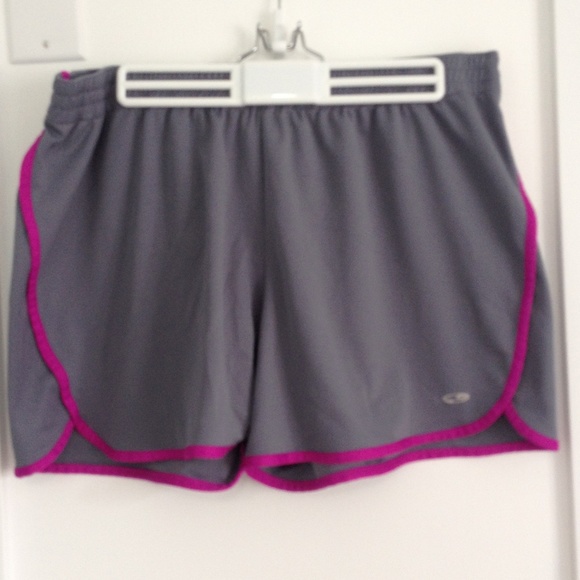 Grey Champion Shorts W/ Purple Stripes